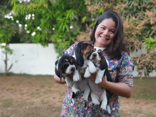 Fotos Ninhada